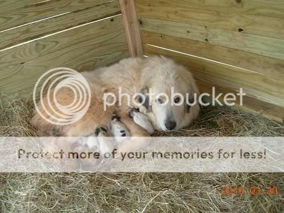DSCN1461.jpg