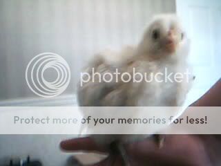 Picture169.jpg