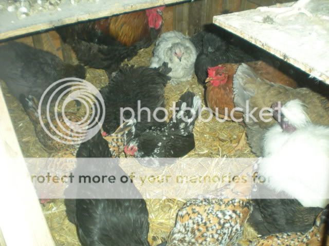 DSCN1635.jpg