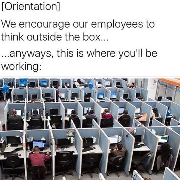 wlVZSFQ.jpg