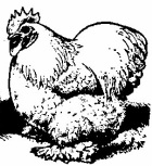 1315708434.jpg