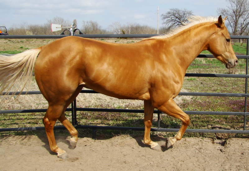 133___Renny_by_razoress_stock.jpg