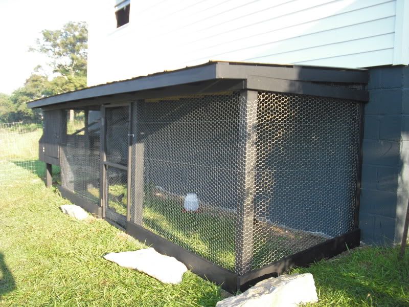 Coop010.jpg