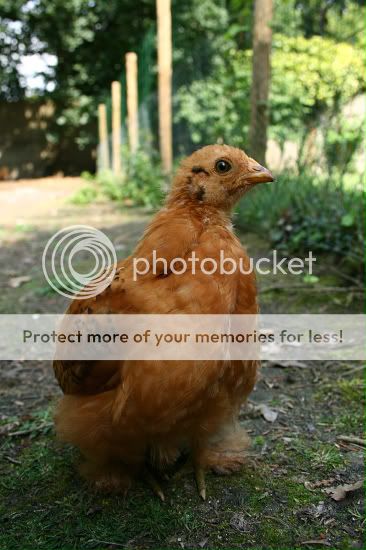 IMG_7631-border.jpg