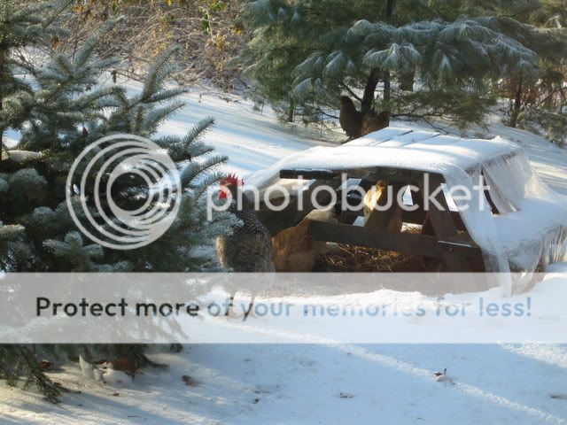 wintertime046.jpg