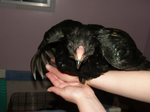 20100709_24.JPG