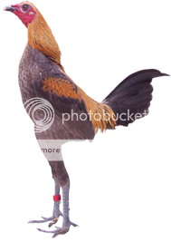 CordonBleu.png