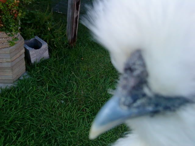 DSC01279.jpg