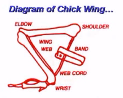 wing-diagram.png