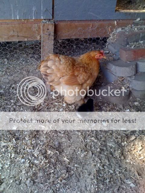 photo4-13.jpg