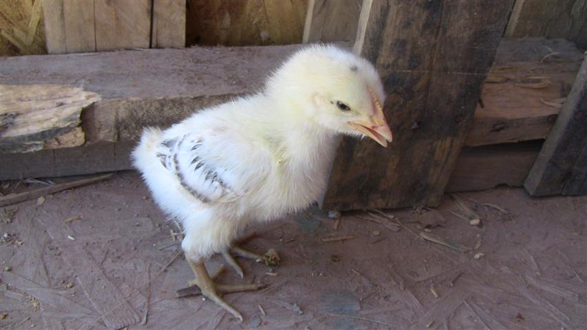 QzcaW.jpg