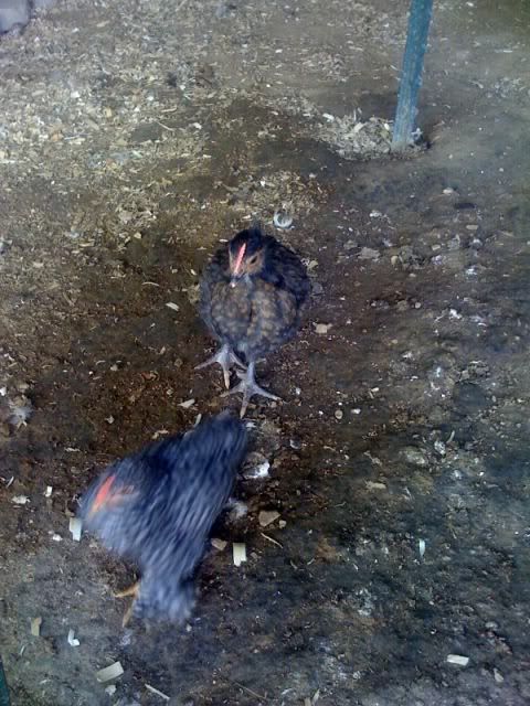 photo-174.jpg