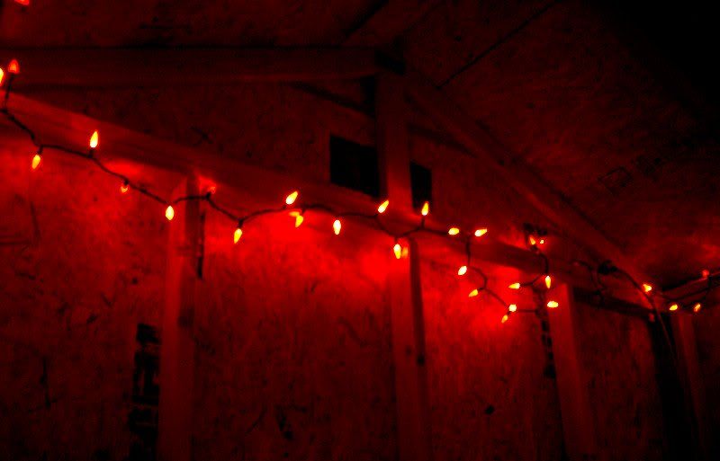 lights.jpg