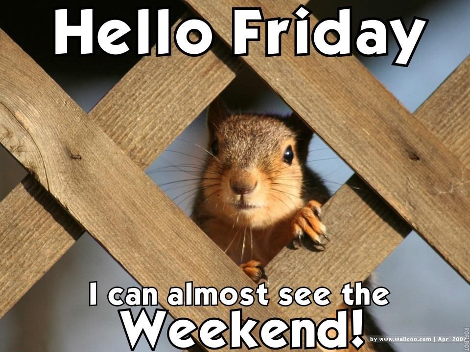 271317-Hello-Friday-I-Can-Almost-See-The-Weekend.jpg