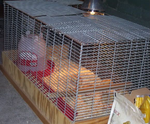 100_5749.jpg