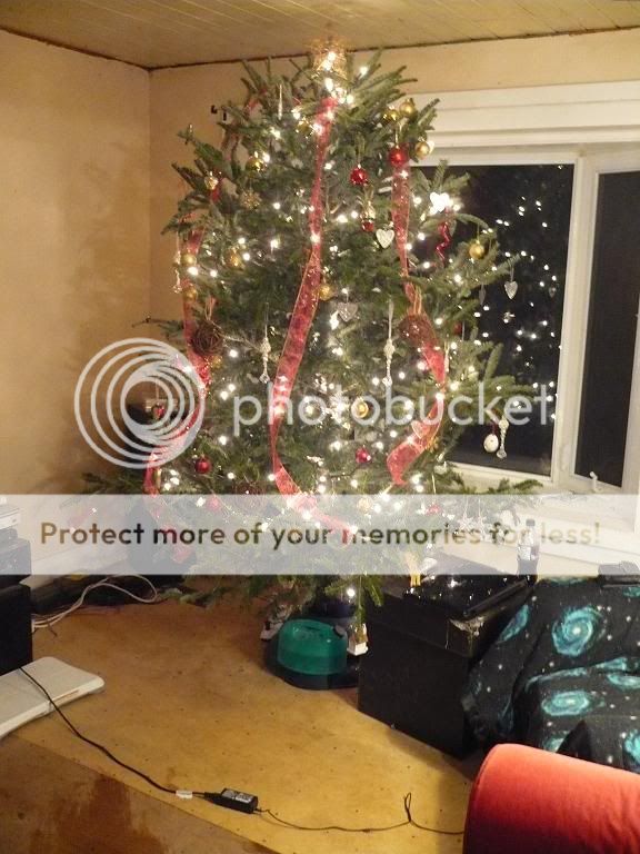 tree.jpg