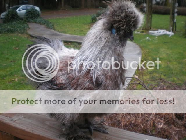 DSCN3194.jpg