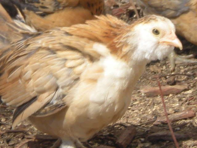 RSCN0420.jpg