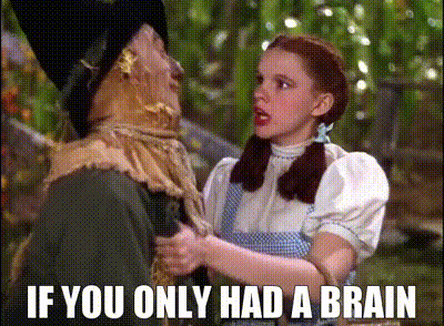 d884a93b-d236-4d36-961b-ad82f2ac88ee_text.gif