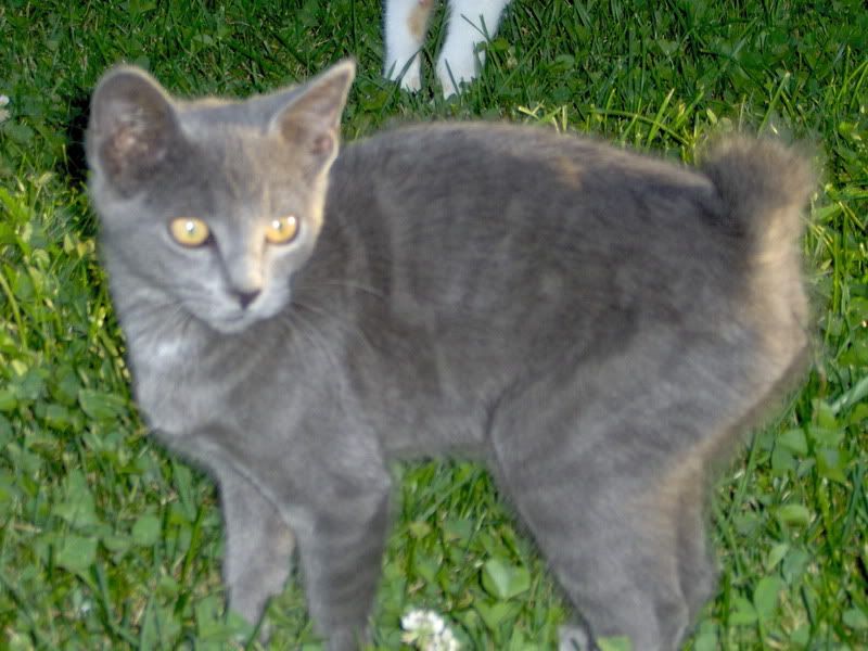 HPIM0376.jpg