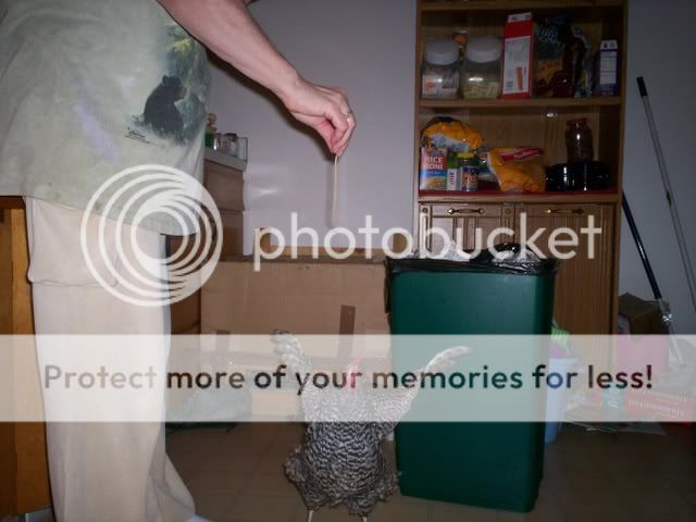 100_2350.jpg