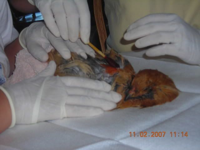 DSCN1266.jpg