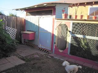 Coop-12-06-10-007-1.jpg