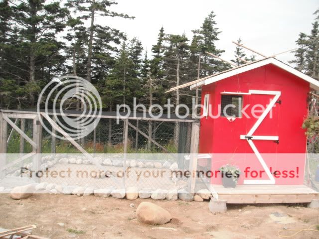 DSCF3941.jpg