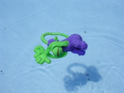 Swimmie9.jpg