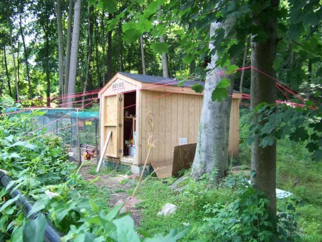 100_3607.jpg