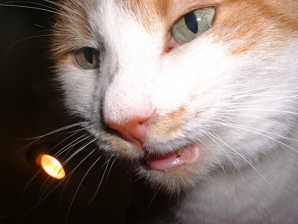 DSCF0003.jpg