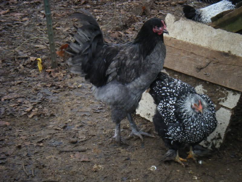 DSCF0767.jpg
