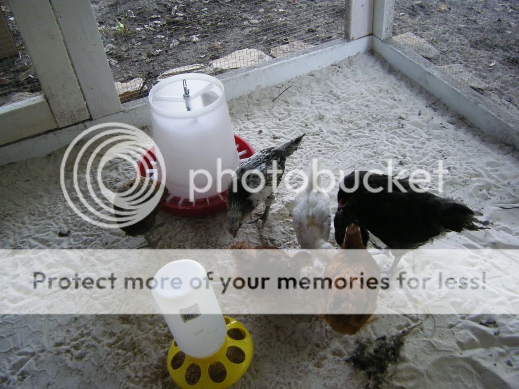 DSCF4793.jpg