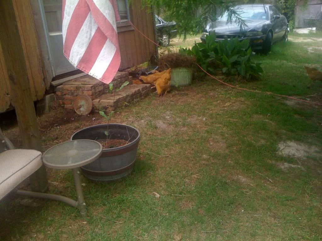 Picture077.jpg