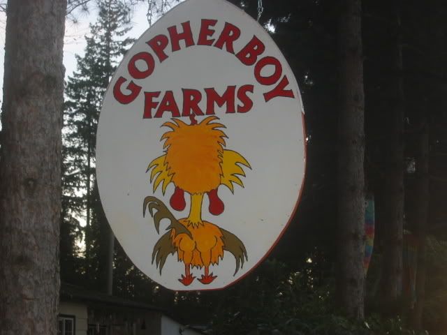100_0006-2.jpg