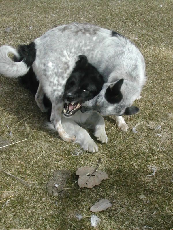 DSCN5200.jpg