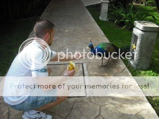 COZUMEL_09137.jpg