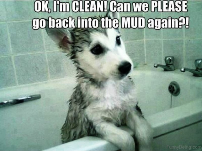 Ok-Im-Clean.jpg