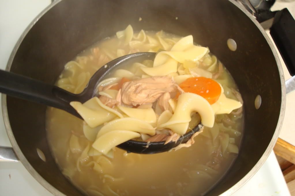 DSC01017.jpg