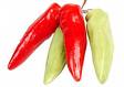 recipe_pepperrings.jpg