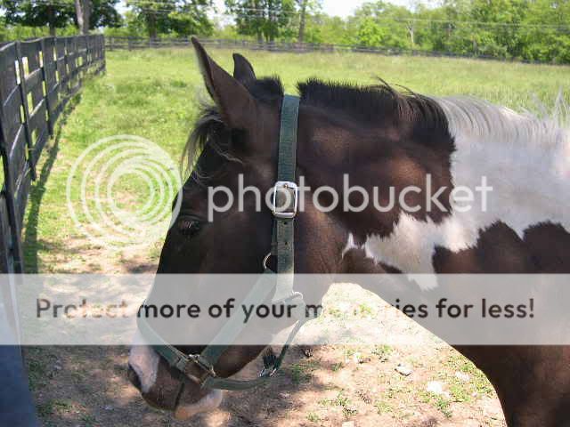 picturesofstuff002.jpg