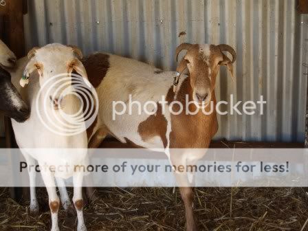 groupphoto02.jpg