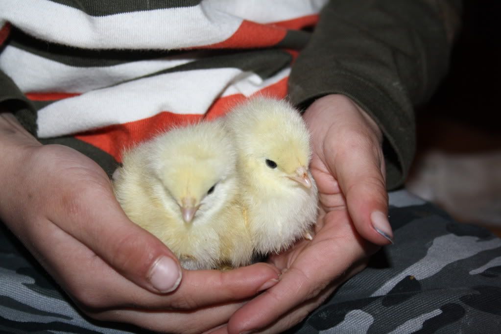 March2011050.jpg