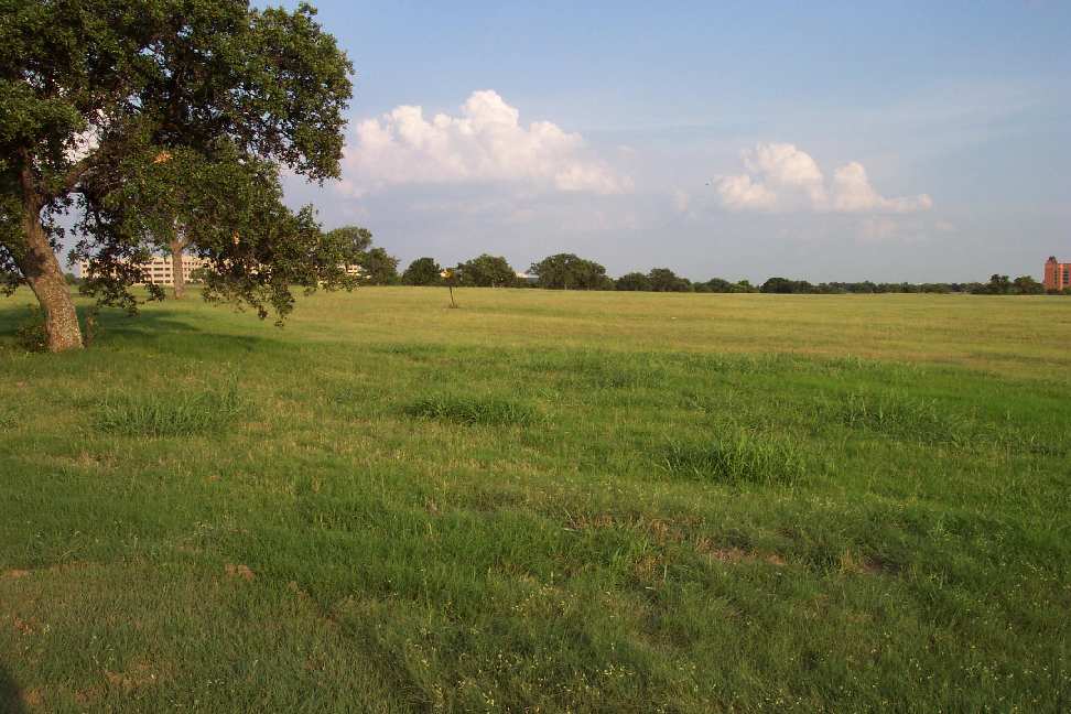 GreaterSW_TX_field_02.jpg