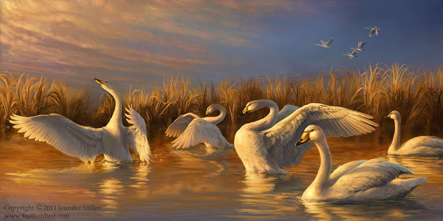 veneration_to_the_sun_by_nambroth-d3efnoh.jpg