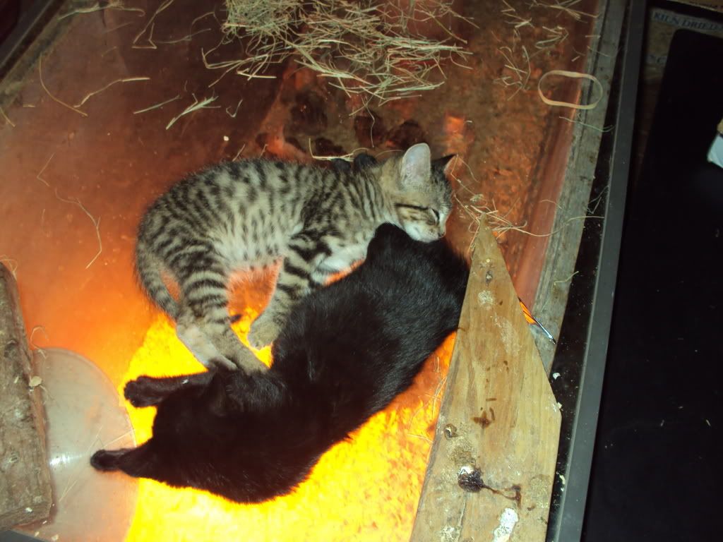 DSC00860.jpg