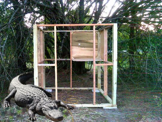 GatorCoop.jpg