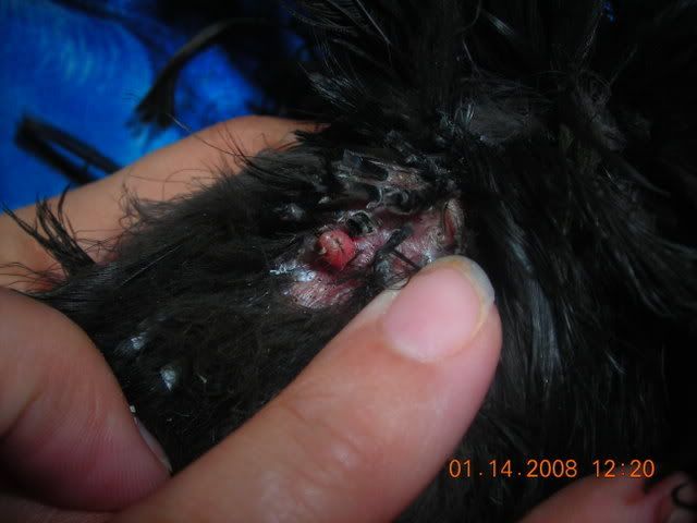 DSCN1816.jpg