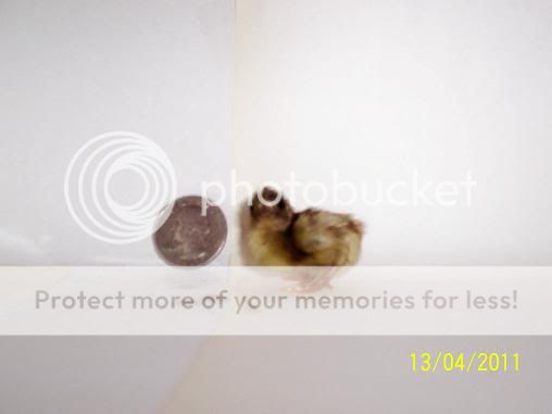 Picture147.jpg
