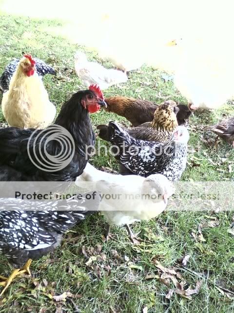 img1248807270325.jpg